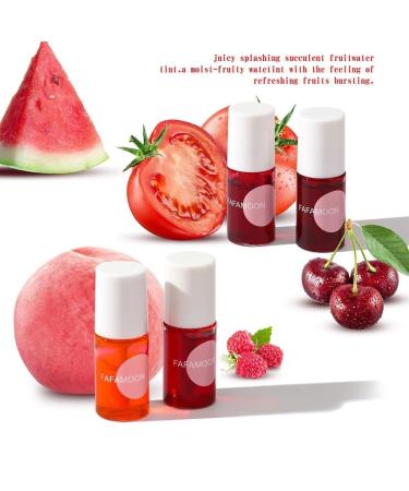 Fafamoon Long Lasting Lip Gloss Set - Moisturizing & Waterproof Fruit Juice Lip Tint (4 Colors) Perfect for Plumping Matte Finish Makeup - Buy Online on GoSupps.com