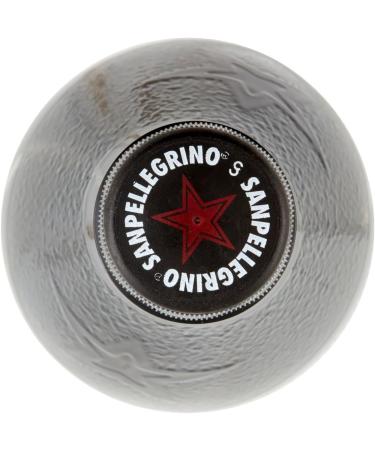  Italian Gourmet E.R. San Pellegrino Chinotto Chino Pack of 12 Italian Soft Drinks in PET Bottles 450ml Italian Bitter Orange Lemonade + Italian Gourmet Polpa 400g - Buy Online on GoSupps.com