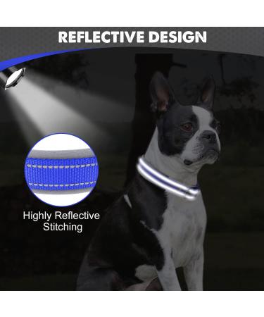 Buy Joytale Royal Blue Dog Collar - Softly Padded Neoprene for Medium Dogs | Nylon Reflective Wide Design - 1 Pack - Buy Online on GoSupps.com