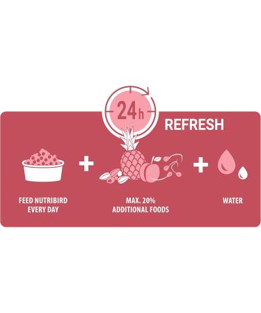 Buy VERSELE-LAGA NutriBird P15 Tropical 10kg - Multi-Coloured Extruded Pellets for Parrots - Premium Maintenance Food - International Shipping Available - Buy Online on GoSupps.com