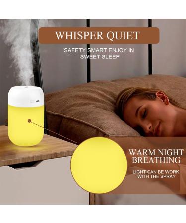 Vicloon Mini Air Humidifier - 300ml USB Quiet Diffuser with Night Light & 2 Spray Modes - Perfect for Home & Travel - Buy Online on GoSupps.com