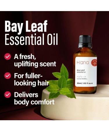 H ana Essential Laurel Oil 30 ml - Spicy Herbaceous Fragrance for Diffuser & Hair | Premium Essential Oil by Bayleaf - Buy Online on GoSupps.com