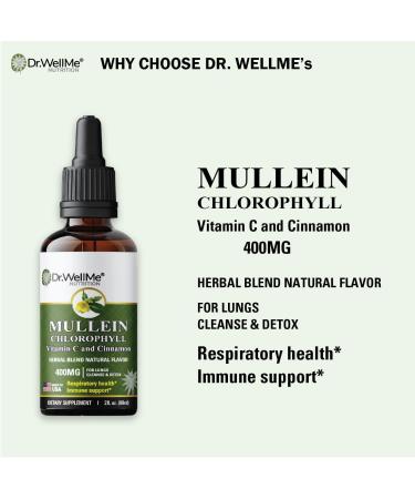 Dr.WellMe Mullein Chlorophyll 2 fl oz Liquid Drops Natural Detox & Promotes Health Gut Support High Absorption Packed with Minerals for Wellness - Buy Online on GoSupps.com