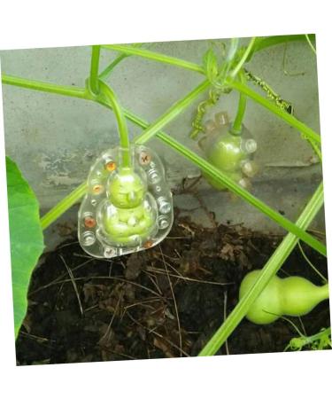 GANAZONO 25 Pcs Vegetable Mini Accessories Pumpkin molds Plastic Reusable molds Cucumber 7.6x5.6cmx5pcs Transparentx5pcs - Buy Online on GoSupps.com