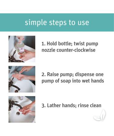 Grab Green Hand Soap 12 oz (Pack of 3) Fragrance-Free, Biodegradable, Plant & Mineral-Based with Aloe Moisture - 3 Count - Buy Online on GoSupps.com