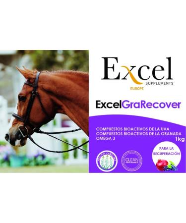  Excel GraRecover 1Kg | Supplement for horses | muscle supplement | Muscle recovery | Caring for the | Horse | Horse Health Prevents cramps  - Buy Online on GoSupps.com