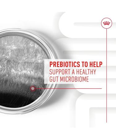 Royal Canin Dog Supplement for Digestion Soft Chews 160g - Buy Online on GoSupps.com