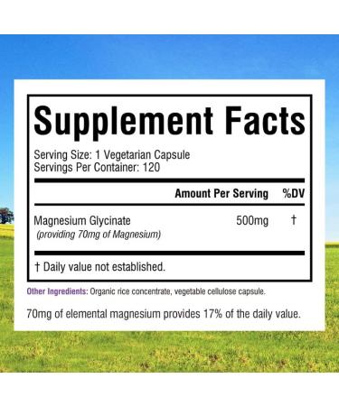 Magnesium Glycinate 500mg | 240 Vegetarian Capsules | Non-GMO & Gluten-Free | Supports Muscle, Nerve & Heart Health | 8-Month Supply - Buy Online on GoSupps.com