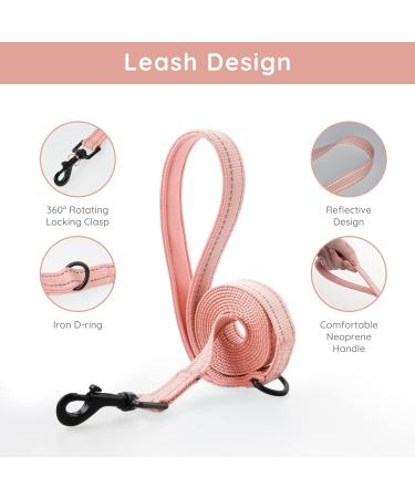 Buy Bella & Pal Step-In Dog Harness for Small Dogs - Reflective Breathable Air Mesh with Leash | XS Coral Pink (30-35cm) - Perfect for Puppies & Cats - Buy Online on GoSupps.com