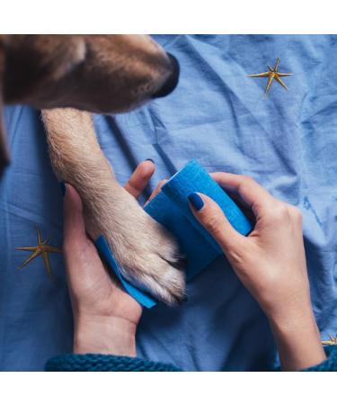 Zeieya Self-Adhesive Cohesive Bandage - 6 Rolls Elastic Bandage for Cats Dogs Horses & Humans - 7.5cm x 4.5m - Blue - Buy Online on GoSupps.com