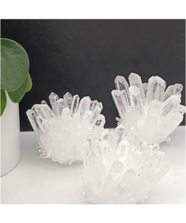 Natural Crystal Rough 270-330g 1pc Natural White Quartz Crystal Cluster Specimen Decoration - Buy Online on GoSupps.com