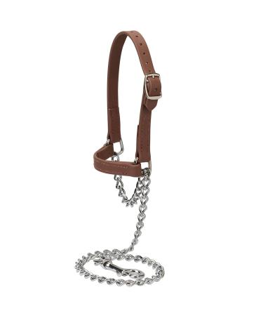 Weaver Leather Livestock Brahma Webb Goat Halter, Brown Medium - Buy Online on GoSupps.com
