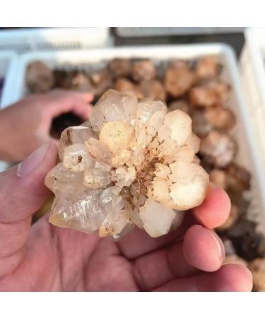 Natural Crystal Rough Natural Stone Crystal Flower Scepter Clear Quartz Cluster Backbone for Decorate 1pc - Buy Online on GoSupps.com