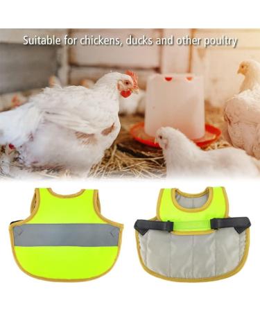 Reflective Chicken Hen Saddle Apron | Adjustable Strap | Protects Poultry Ducks Geese | Green - Buy Online on GoSupps.com