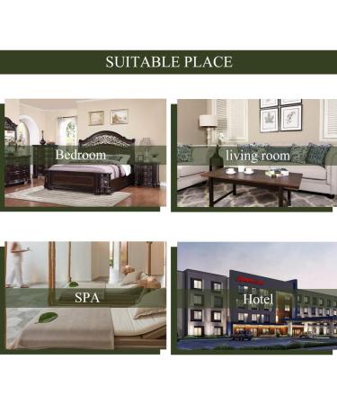 Aromatherapy Clary Sage Essential Oil Set for Diffuser 3X10ml 100% Pure Fennel Essential Oil Kit for Humidifier-Fennel Clary Sage Cypress Essential Oils Set Aromatherapy Cypress Essential Oils Kit - Buy Online on GoSupps.com