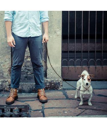 Genuine Leather Dog Leash for Small & Medium Dogs | Adjustable Lightweight Strong - 160 cm 5.24 ft (Brown) - Buy Online on GoSupps.com