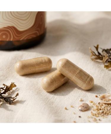 FitKairosis Marisol Sea Moss Capsules - Irish Moss Bladderwrack & Burdock Root for Immune Support Thyroid Health & Digestive Wellness - 60 Capsules USA Made - Buy Online on GoSupps.com