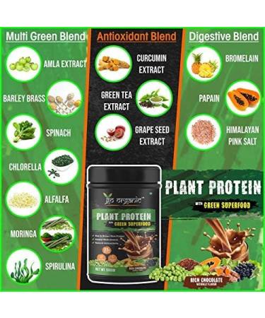 Kavir Vegan Plant Protein Herbs Antioxidants Digestive Enzymes (Natural Chocolate Flavor) Green 500 g - Buy Online on GoSupps.com