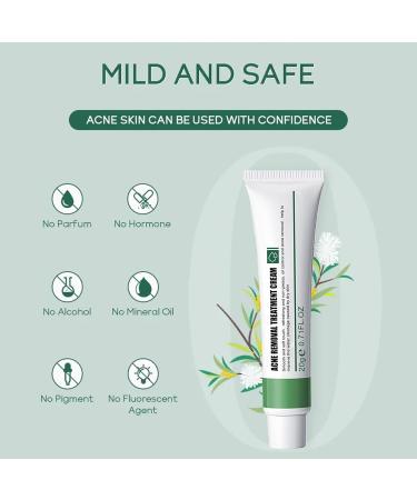 Anti Acne Cream for Acne Treatment and Spot Treatment with Nicotinamide Sodium Hyaluronate Aloe for Acne Prone & Sensitive Skin Reduce Redness Moisturiser Fade Acne Marks Oil Control - Buy Online on GoSupps.com