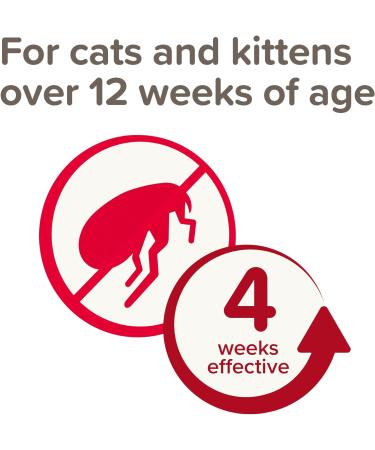 Beaphar Cat Spot On Four Week Protection Flea Repel Solution - Buy Online on GoSupps.com