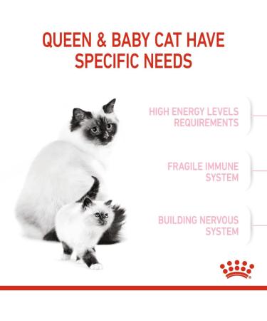 Royal Canin/Babycat 4 kg bag of kibble for kittens from 1 to 4 months - Buy Online on GoSupps.com