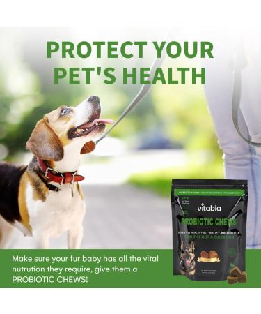 Probiotics For Dogs - Fibre Natural Dog Treats For Gut Health Anal Glands Treatment Dog Itchy Skin Relief and Scooter Gland Treatment For dogs with Psyllium Husk Pumpkin Probiotics Dog (60 Chews) 60 Count - Buy Online on GoSupps.com