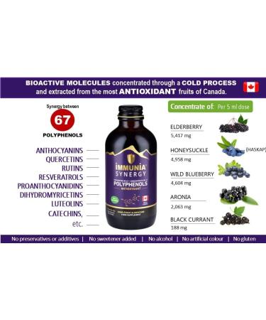 Immunia Synergy Elderberry Supplement for Immune Support - Antioxidant Rich Blend with Canadian Elderberries - Buy Online on GoSupps.com