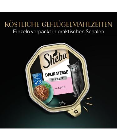 Premium Sheba Delicacy in Jelly - High-Quality Salmon Cat Wet Food - 22 x 85g - International Shipping Available - Buy Online on GoSupps.com