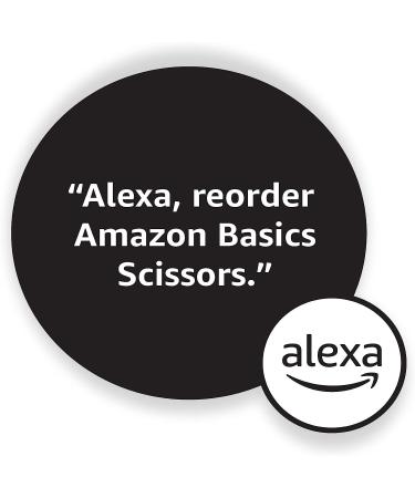Amazon Basics Nail Scissors - Precision Stainless Steel Clippers - Buy Online on GoSupps.com
