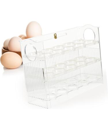 PRETYZOOM Egg Storage Box Eggs Egg Holder for Fridge Egg Container for Refrigerator Egg Tray Egg Box Dedicated 25.2X19.5CM As Shown - Buy Online on GoSupps.com