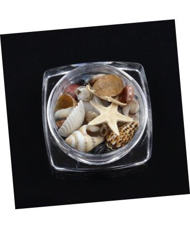 minkissy 1 Box Conch Jewelry Nail Art Decoration Nail Decorations for Nail Art Shell Decor Nail Jewelry Conch Shells Nail Decoration Nail Ornament Nail Stickers 3d False Nails - Buy Online on GoSupps.com