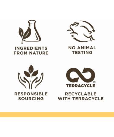 Burt's Bees 100% Natural Baby Skin Care Diaper Rash Ointment, 3 Ounce (2 Pack) - Buy Online on GoSupps.com