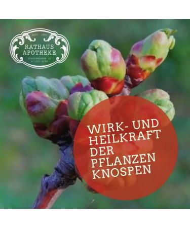 RATHAUS APOTHEKE WIEN Concentrated bud extract - Gemmotherapy - Vaccinium myrtillus - Bilberry - 15 ml - Buy Online on GoSupps.com