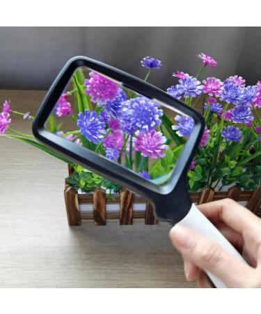 Tovmekdjn 1 PCS Magnifier with LED Lighting Fit for The Elderly to Read Books Maps Magazines Coupons Prescriptions and Fine Print on Medicine Bottles or Make Handicrafts - Buy Online on GoSupps.com