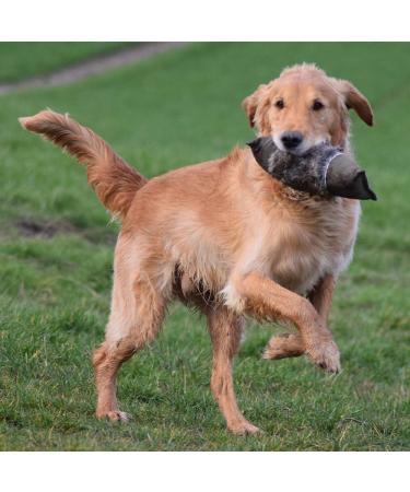 Firedog Dummy with Real Rabbit Fur - Durable 3 000g Dog Training Dummy for Effective Apportel - Buy Online on GoSupps.com
