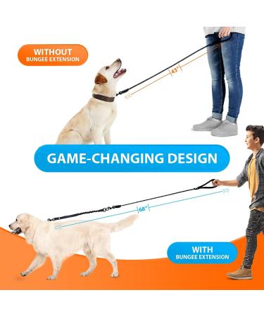 Buy Reflective Bungee Dog Leash for Large & Medium Dogs | Jerk Dampers & Elastic Walking Leash - Black - Buy Online on GoSupps.com