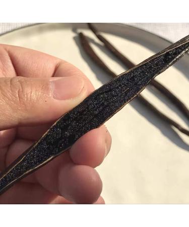 5 Gourmet Bourbon Vanilla Pods from Madagascar 16-18cm 100% Natural Aromatic Fresh and Fleshy - Buy Online on GoSupps.com