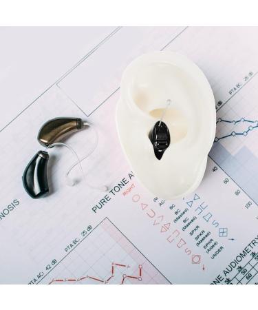 ibasenice Silicone Ear Model: Soft Silicone Artificial Ear Model for Jewelry Earrings Display 1 Pair White - Buy Online on GoSupps.com