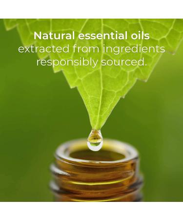 Airwick Botanica Scented Oil Eucalyptus & Mediterranean Sage Natural Ingredients Twin Refill 40 milliliter Ecualyptus Sage 40 ml (Pack of 1) - Buy Online on GoSupps.com