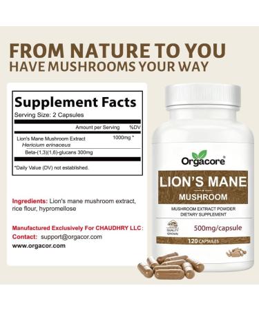 ORGACORE Real Lion s Mane Mushroom Extract Capsules (120 Count) Hericium Erinaceus with Beta Glucans Brain & Immune Support Supplement for Memory Focus & Overall Cognitive Health - Buy Online on GoSupps.com