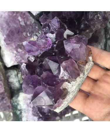 Specimen Natural Amethyst Crystal Cluster Uruguay Amethyst geode Specimen Gems - Buy Online on GoSupps.com