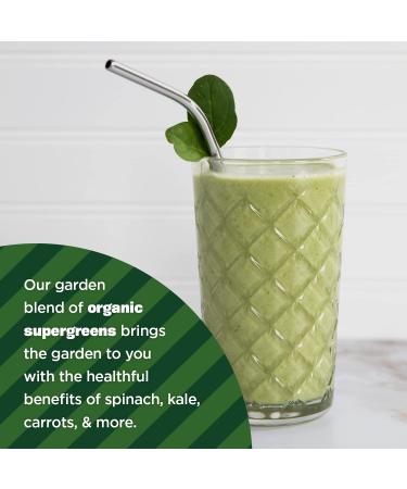 Manitoba Harvest Organic Hemp & Supergreens Powder 7.5 oz - Vegan Superfood with Protein, Fiber, Vitamins & Minerals - Buy Online on GoSupps.com