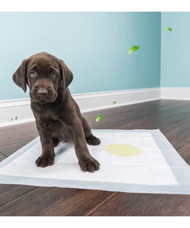 BPS BPS-2166 BPS-2170 Training Documents for Dogs & Cats - Pheromone-Infused Puppy Training Pack of 20 (60x90 cm) - International Shipping Available - Buy Online on GoSupps.com