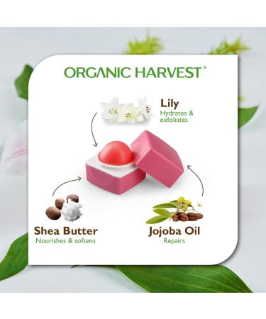 Organic Harvest Lily Flavor Pink Lip Balm - 100% Organic Paraben & Sulphate Free | Kids & Girls Lip Care for Dry Chapped Lips with Olive Oil Jojoba Oil & Shea Butter - 10 GM - Buy Online on GoSupps.com