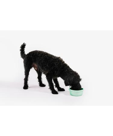 Dog Food | Dog Sausage | Cat Food | Cat Sausage | High Meat Sausage (12x 1kg Beef) - Buy Online on GoSupps.com