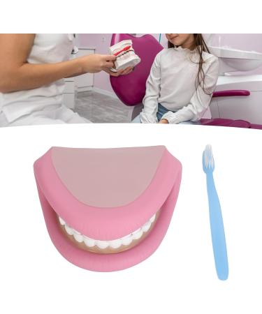 Dental Care Model for Kids | Flexible False Teeth for Speech & Language Development - Buy Online on GoSupps.com