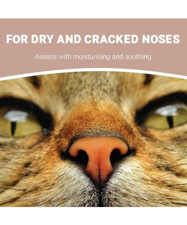 Pet Purest Coconut Paw & Nose Balm 100% Natural Moisturizer for Dogs & Cats - Soothes Itchy Skin & Dry Nose - 100ml - Buy Online on GoSupps.com