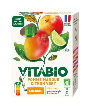 VITABIO - Apple Mango Lime Gourds - ENERGY - 4x100g - ORGANIC
