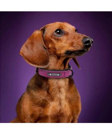 Didog Custom Leather Dog Collar with Engraved Name Tag - Soft Padded Purple for Small & Medium Dogs (XL 40-50 cm) - Buy Online on GoSupps.com
