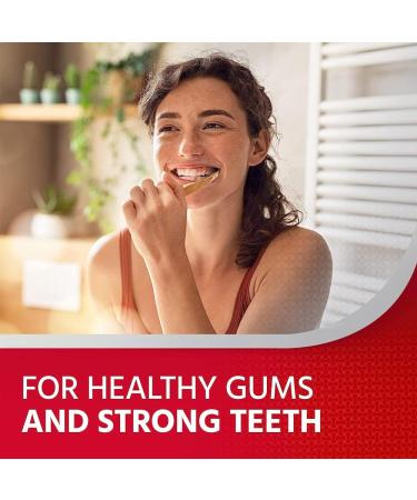 Corsodyl Daily Gum Care Soft Toothbrush - Assorted Colors | Gentle Oral Care for Healthy Gums | Buy Online & Ship Worldwide - Buy Online on GoSupps.com